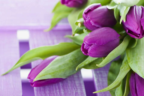 8 марта: день, когда всё для тебя