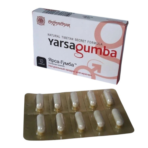 9.249.1 \ Ярсагумба