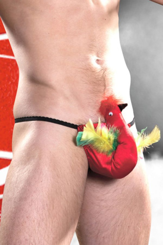 Игровые плавки попугай